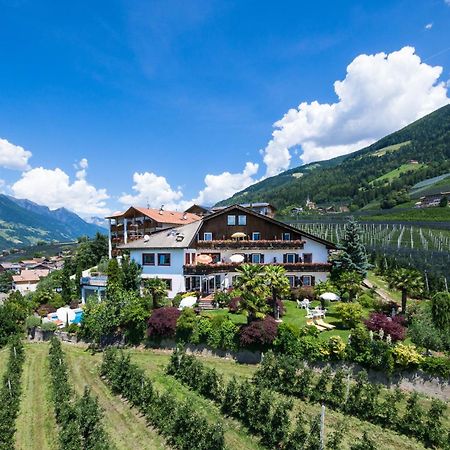 Pension Zum Burggraefler سكين المظهر الخارجي الصورة