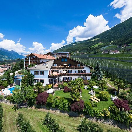 Pension Zum Burggraefler سكين المظهر الخارجي الصورة
