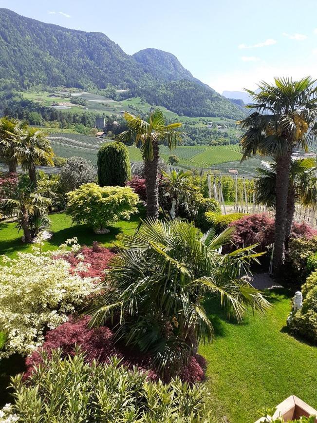 Pension Zum Burggraefler سكين المظهر الخارجي الصورة