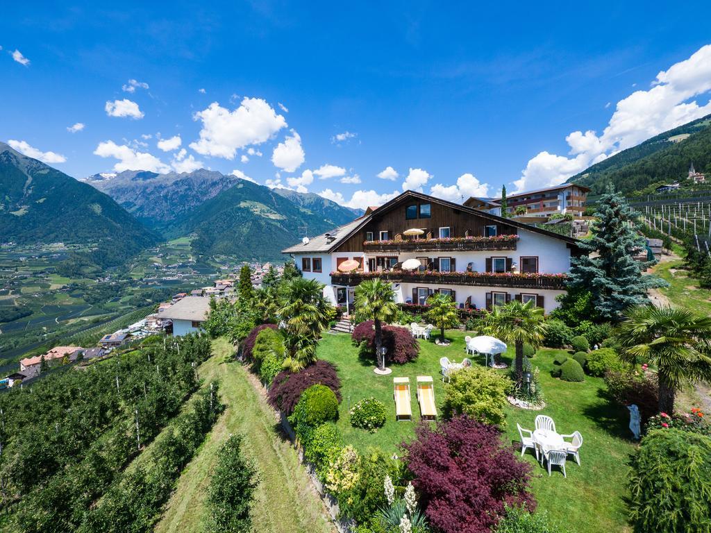 Pension Zum Burggraefler سكين المظهر الخارجي الصورة