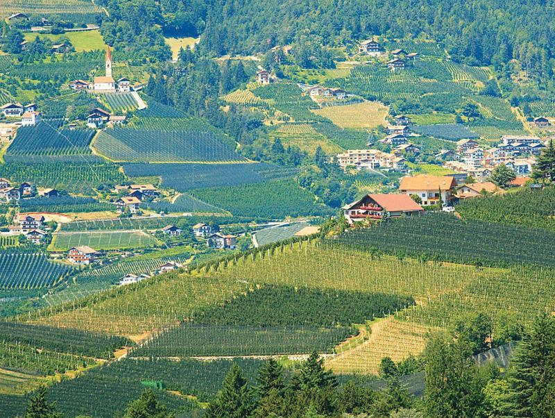 Pension Zum Burggraefler سكين المظهر الخارجي الصورة